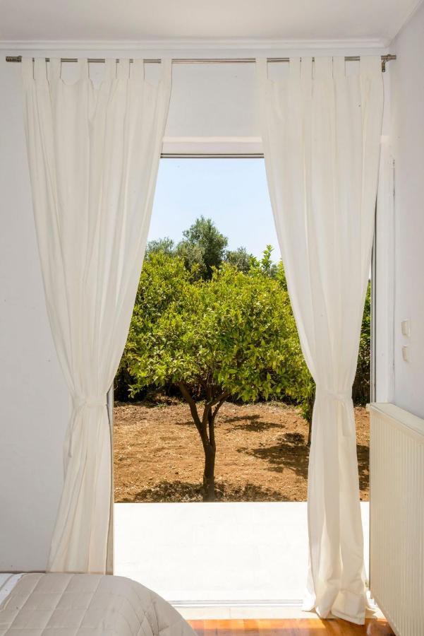 Naftilos Blue View Retreat Avía Zewnętrze zdjęcie